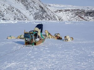 2015.03.11 - Grønland - Ilimanaq til Indlandsisen