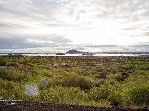 2016.06.26 - Island, CPH til Borgarfjörður