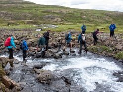 2016.06.29 - Island, Borgarfjörður til Stórurð