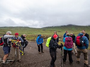 2016.07.02 - Island, Borgarfjörður, fårehyrdetur
