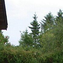 folderimage